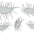 Osteocyte_Wire_1.png Osteocyte Bone Cell