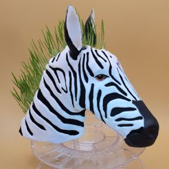 Zebra Planter