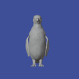 pinguino1.png Humboldt penguin