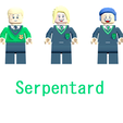 serpentard.png 12 Hogwarts students, Hedwig and 7 accessories