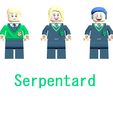 serpentard.png 12 élèves de Poudlard, Hedwige et 7 accessoires