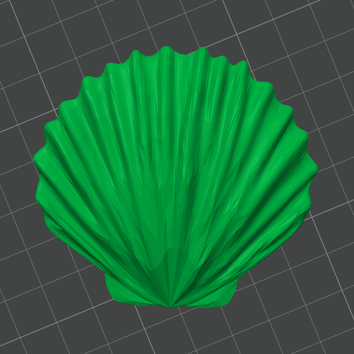 Sea_Shell_Unique.png Sea Shell Clam(s)