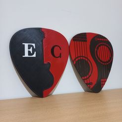 20230502_171019.jpg Free STL file Plectrum - Picture - 2D decoration・3D printer design to download