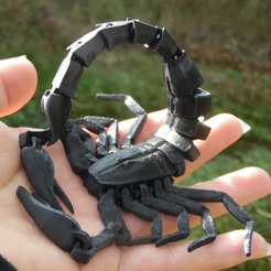 sample01.png Articulated Scorpion