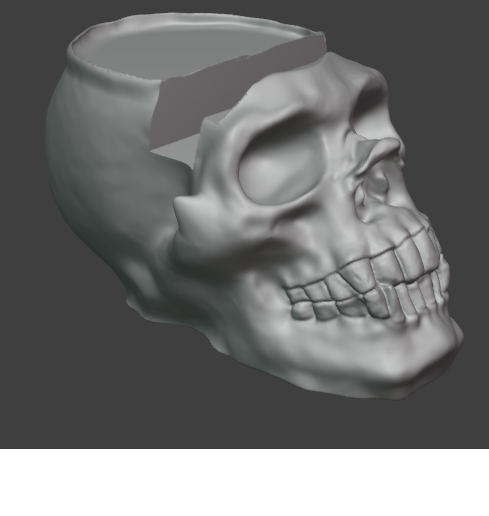 Skull Glasses holder