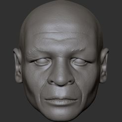 vcgjcgfhfghxh.jpg Fichier STL Sculpture de la tête de Mike Tyson・Design pour impression 3D à télécharger