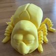 FLEXI BEETLE
