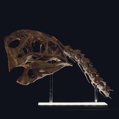 DSC_0448_OK_Cults.jpg Download OBJ file Life size Citipati (Oviraptor) skull and cervical vertebrae • 3D printing template, Inhuman_species
