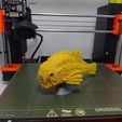 bi et SUNK STL file Articulated Print-In-Place Monster Piranha・3D printer design to download