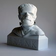 Capture d’écran 2016-12-21 à 11.55.37.png Free STL file Frank (Frankenstein) Bust・3D printing model to download, FrankLumien