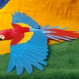 IMG_20240621_152238395.jpg Flying Macaw