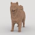 04.jpg Samoyed model 3D print model