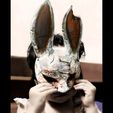 240146305_10226673482842302_2482863726042248087_n.jpg The Huntress Mask - Dead by Daylight - The Rabbit Mask 3D print model