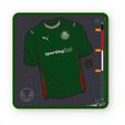2.jpg PALMEIRAS 26/27 SHIRT WITH DECORATION INCLUDES KEYCHAIN ​​(NO AMS)