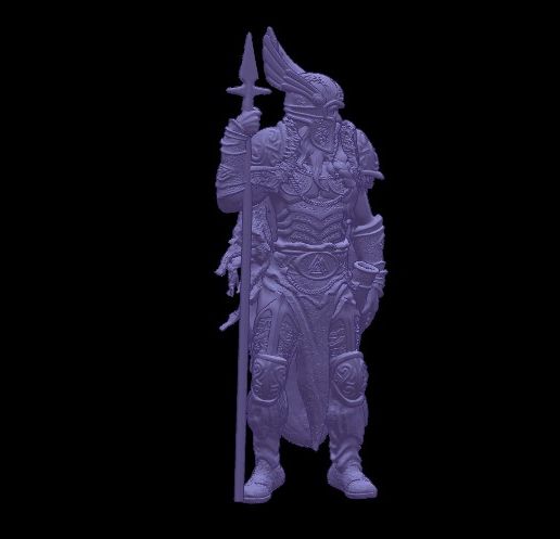 V2.jpg VIKING WARRIOR