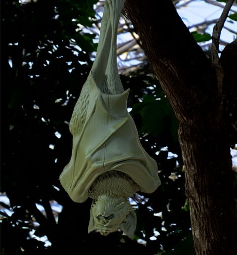 Hanging Vampire Bat