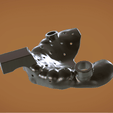 Screenshot_14.png STL file Digital Dental Custom Impression Tray・Template to download and 3D print