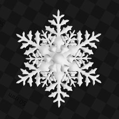 snowflake1.jpg Snowflakes