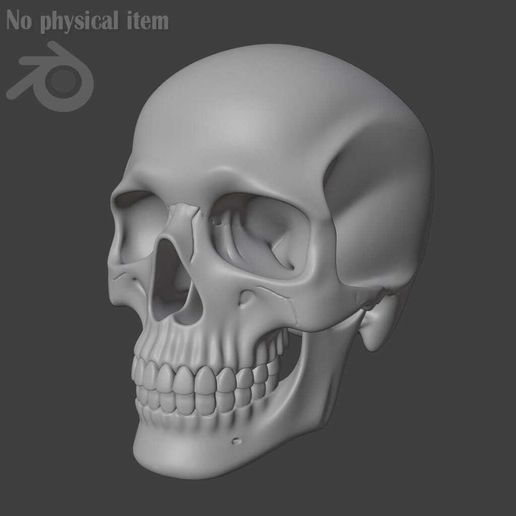 Rainbow Skull STL - Colorful 3D Printable Skull Model, Halloween Decor, Horror Figurine