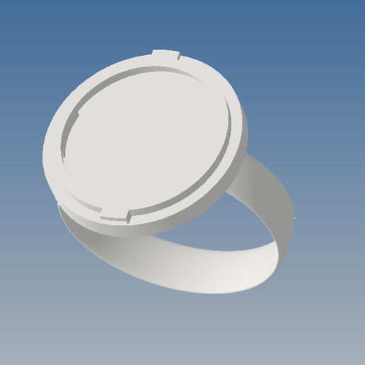 Lantern Corps Rings 3D model