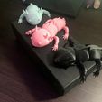 1.jpg STL file Axolotl Flexible Articulated・Model to download and 3D print