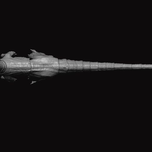 r6.jpg Modelo de figura Raptor