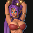 thumb_shantae.png Shantae ( 9+ variants )