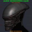 02.jpg Alien Xenomorph Mask - Halloween Cosplay
