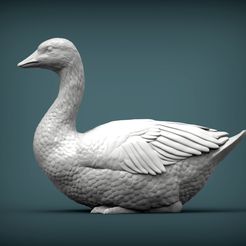 snow-goose1.jpg snow goose 3D print model