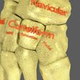 limbs-with-girdle-bones-name-parts-text-labelled-3d-model-acd96230b2.jpg Limbs With Girdle bones name parts text labelled 3D model