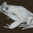 9.png Frog