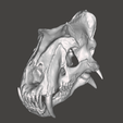 Screenshot-102.png Saber tooth skull HYBRID