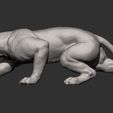 panther-on-the-hunt13.jpg Panther on the hunt 3D print model