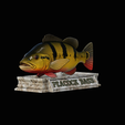 Peacock-Bass-statue-4-3-2.png FISH in motion Peacock bass (Cichla ocellaris) stone base for 3d printing