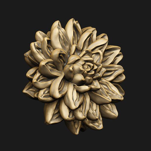 dahlia chrysanthemum flower floral rosette succulent