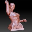 WonderWoman_0015_Layer 18.jpg Wonder Woman Gal Gadot 3d print bust