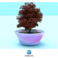 182.jpg bonsain pots complete collection (1-2-3-4-5-6)