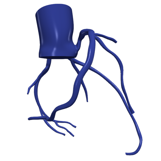 3.png 主动脉和冠状动脉 3D 模型 - 6 件装