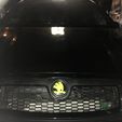 IMG_3353.jpg Emblem rs holder for honeycomb grill on Fabia RS