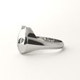 cat-ring-8.jpg Cat ring