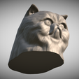 Zrzut-ekranu-2025-06-14-111354.png Persian cat head for 3D printing