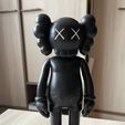 Compagnon des Kaws