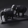 04.jpg Elephant family