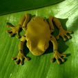 Tree-Frog.png Articulated Clean Frog (V7 childproof links available now) scalable upto 30%