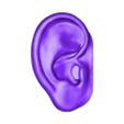 EAR anatomy.stl ear 3d model - ear - earlobe - ENT