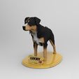untitled.387.jpg Mongrel Dog Borador