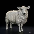 2bcccbc2-f0bc-4e32-9d72-afd02c751b39.jpg Low Poly Sheep STL for 3D Printing