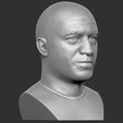 12.jpg Joe Rogan bust for 3D printing