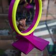 Jump_hoop_05.jpg STL file Jump hoop for pets・3D printer design to download