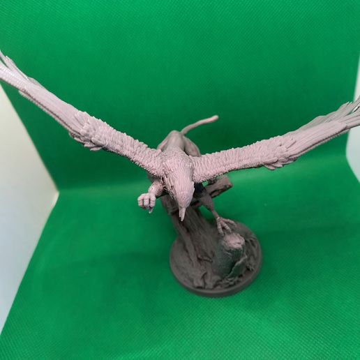 IMG_20250725_094544938_AE.jpg Gryphon